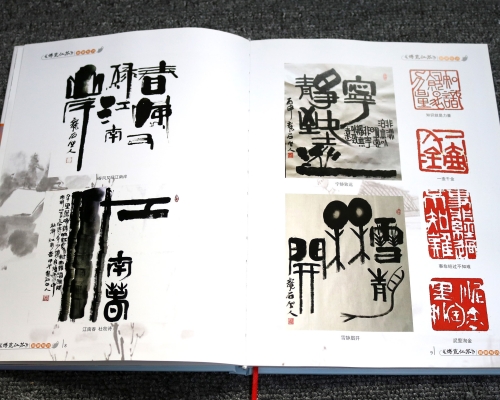 博览江苏精装画册印刷
